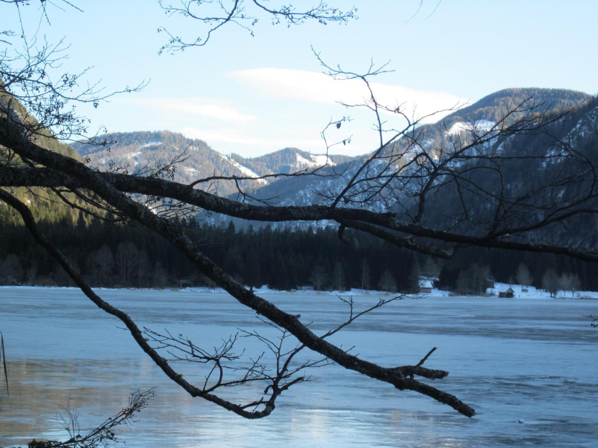 Ferienwohnung Moser Am See Millstatt Luaran gambar