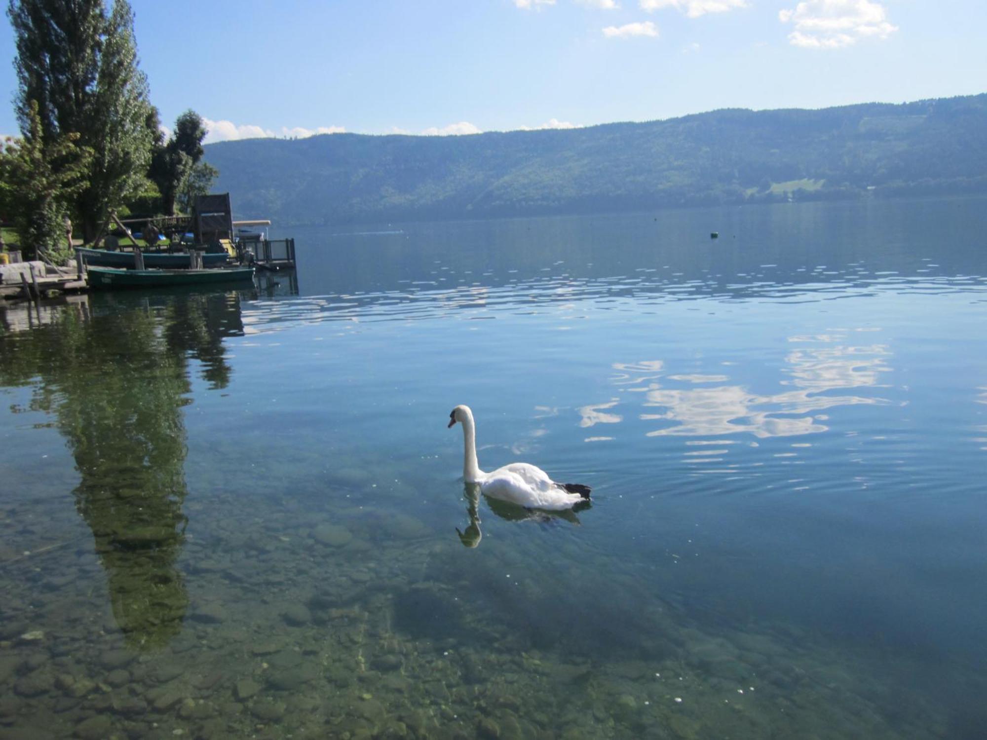 Ferienwohnung Moser Am See Millstatt Luaran gambar