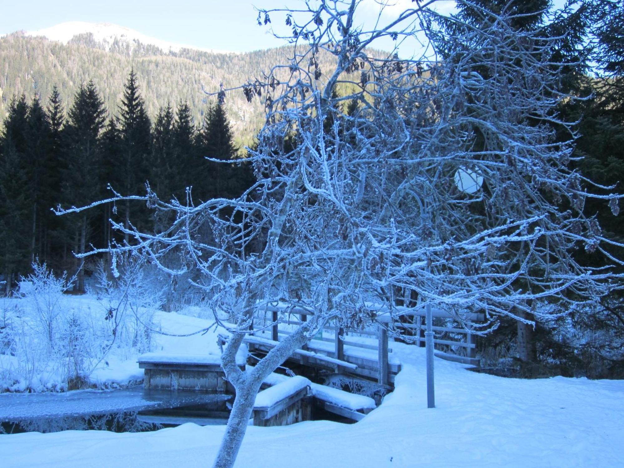 Ferienwohnung Moser Am See Millstatt Luaran gambar